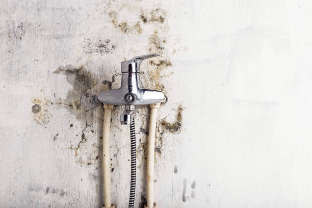Best Mold Testing  in Yoncalla, OR