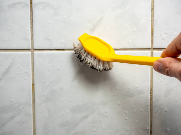 Best Mold Remediation  in Yoncalla, OR