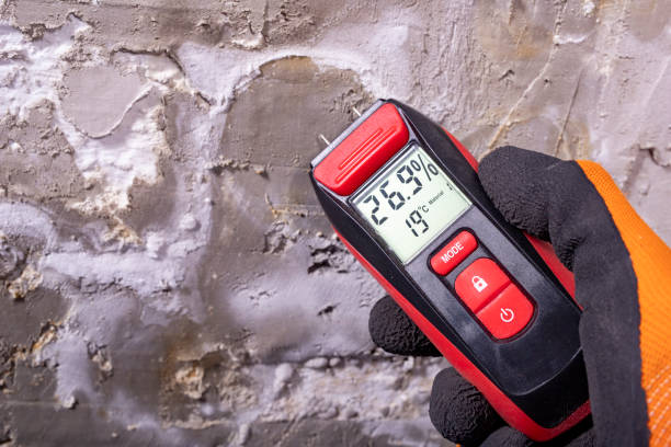 Best Same-Day Mold Removal  in Yoncalla, OR