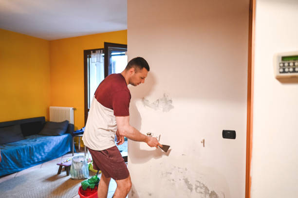 Mold Testing and Removal in Yoncalla, OR