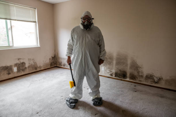 Crawl Space Mold Removal in Yoncalla, OR
